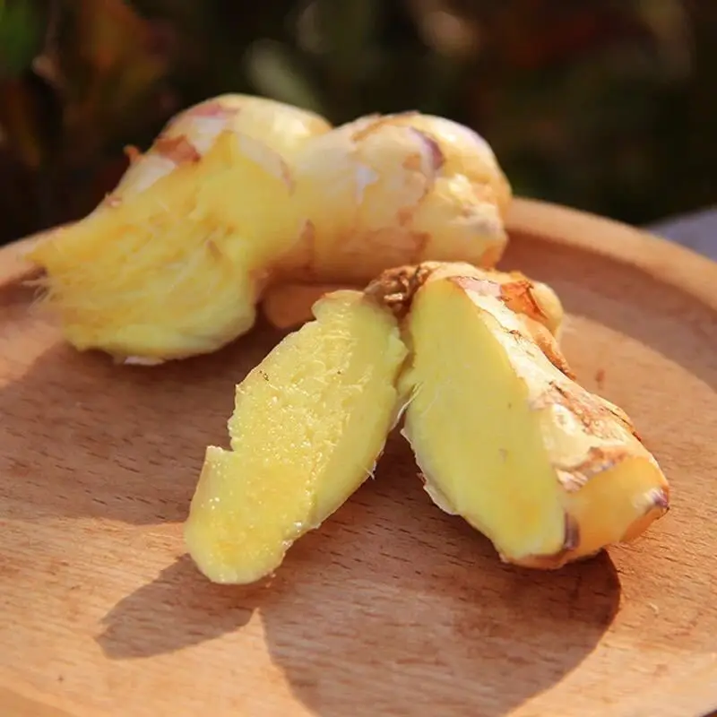 High Quality Fresh Elephant Ginger From China Shandong 2024 Fresh Ginger Export