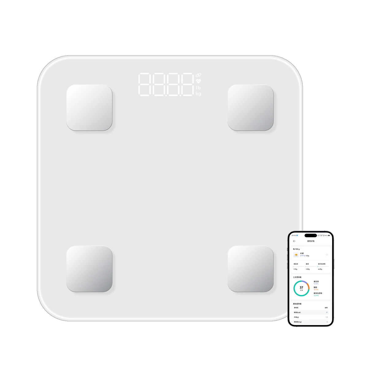 Build Your Brand: OEM/ODM Bluetooth Body Fat Scale for smart scale Health Tracking