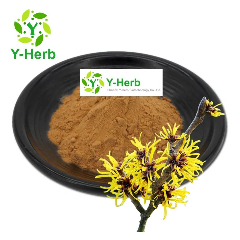 Cosmetic Grade Dried Hamamelis Leaf Root Extract Tannin Powder 10% 20% Witch Hazel/Hamamelis Virginiana Extract