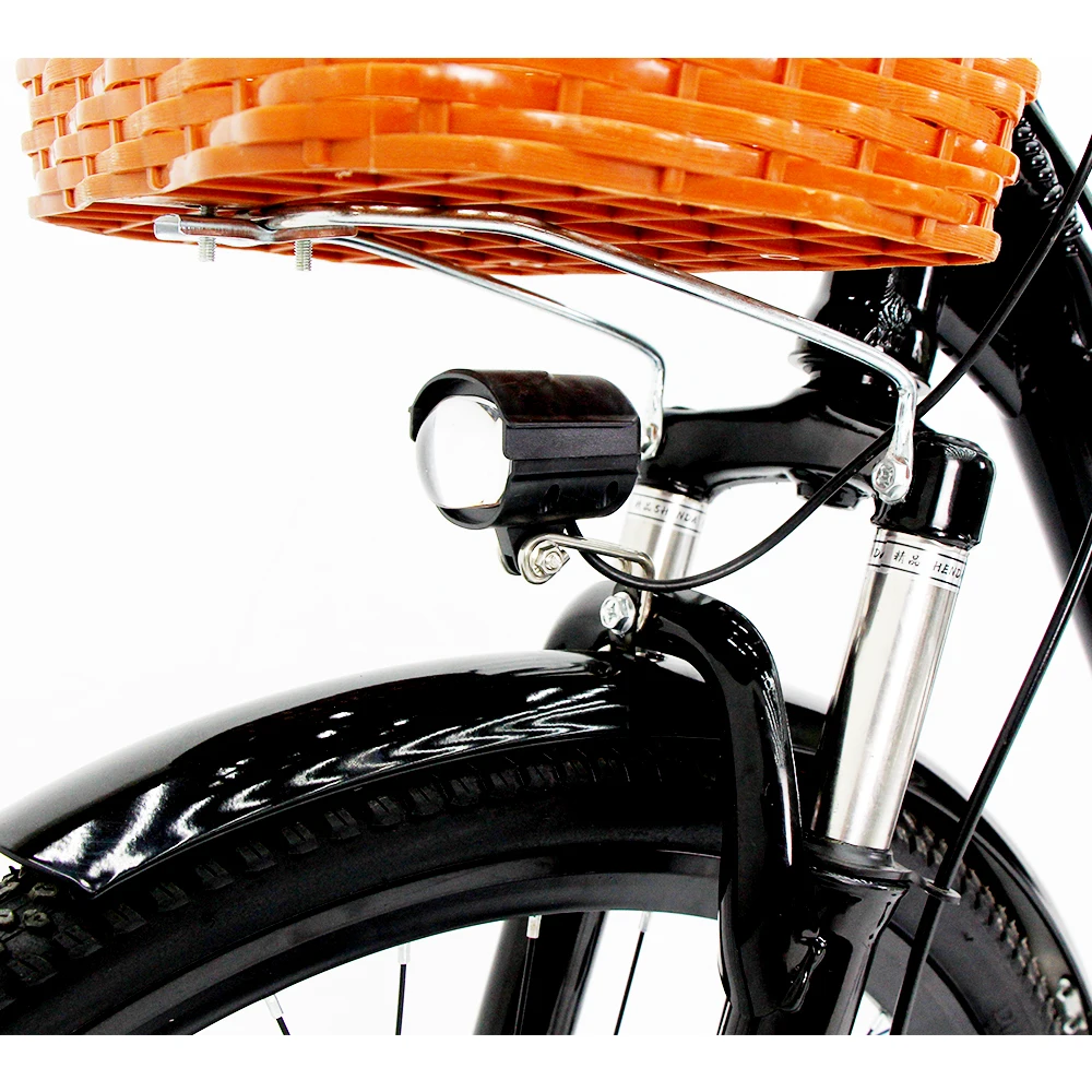 DISIYUAN Belt Drive Rad Runner Electric City Bike Electric Bicycle 26inch Old Electronic Steel Lithium Battery 48V 7 Speed 10 AH