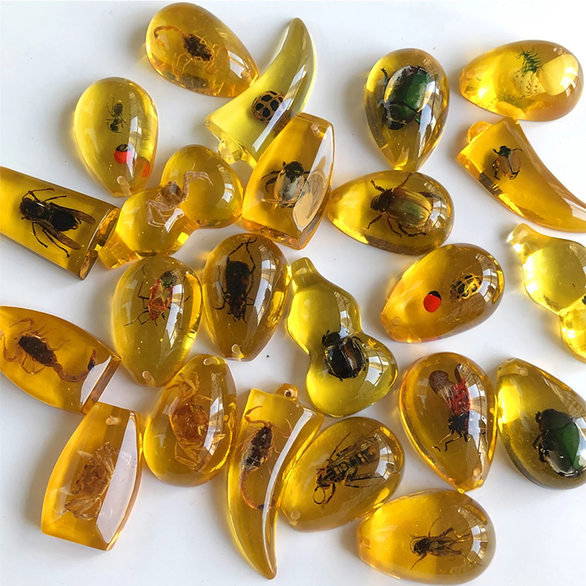 Best Sellers Insect Amber Specimen Blind Box Popular Science Teaching Pendant Gift for Students Educational Supplies