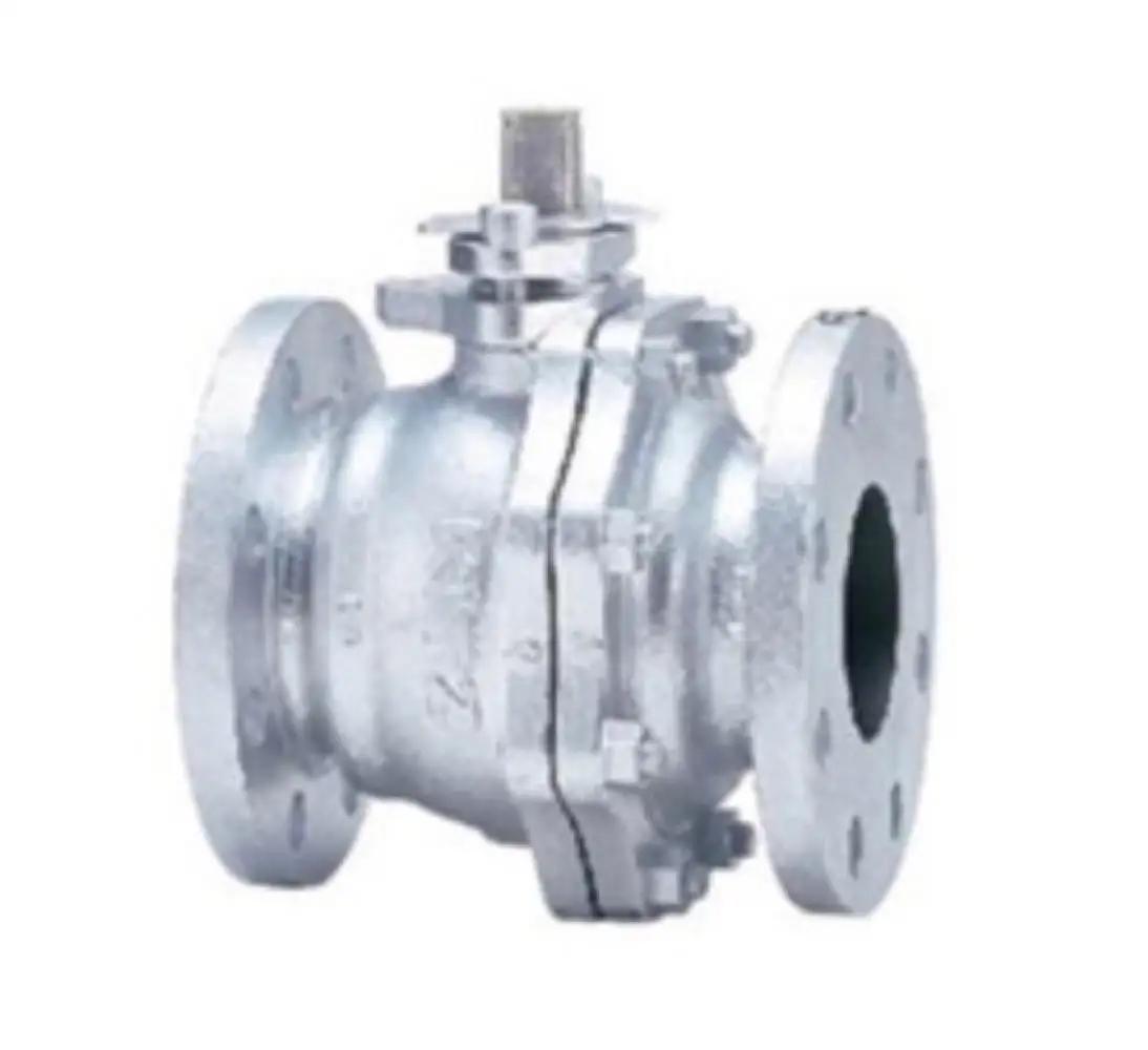 Metallic structures steam supply piping gray ductile cast iron gate valve