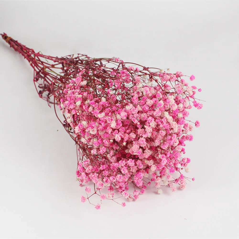 2021 whole year popular preserved Gypsophila for home decoration