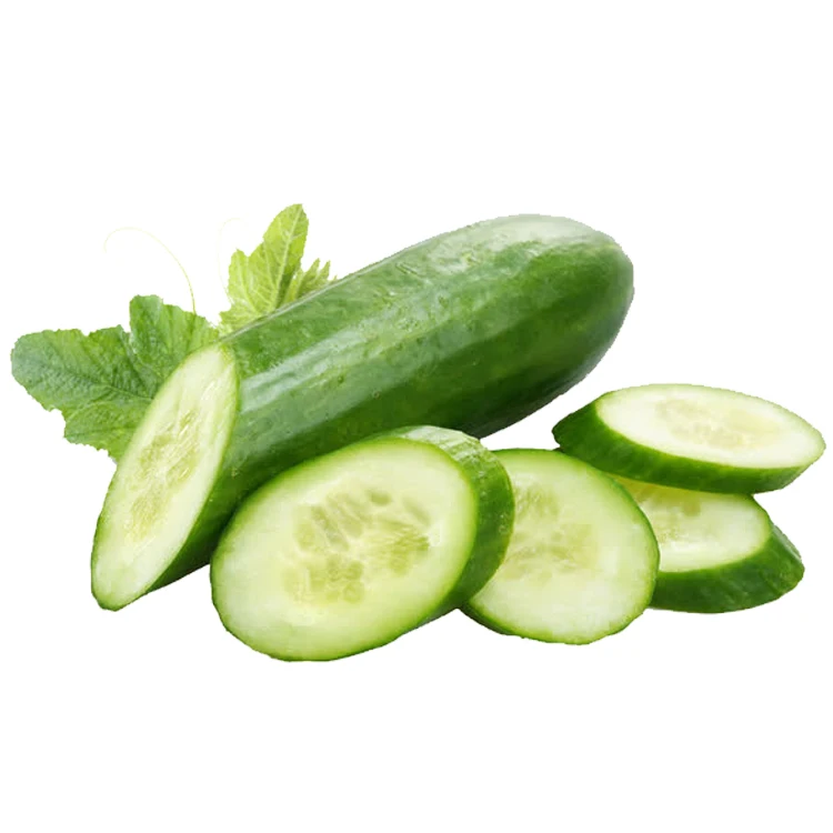 
High Quality Natural Fresh Green Cucumber Vegetables For Sale 