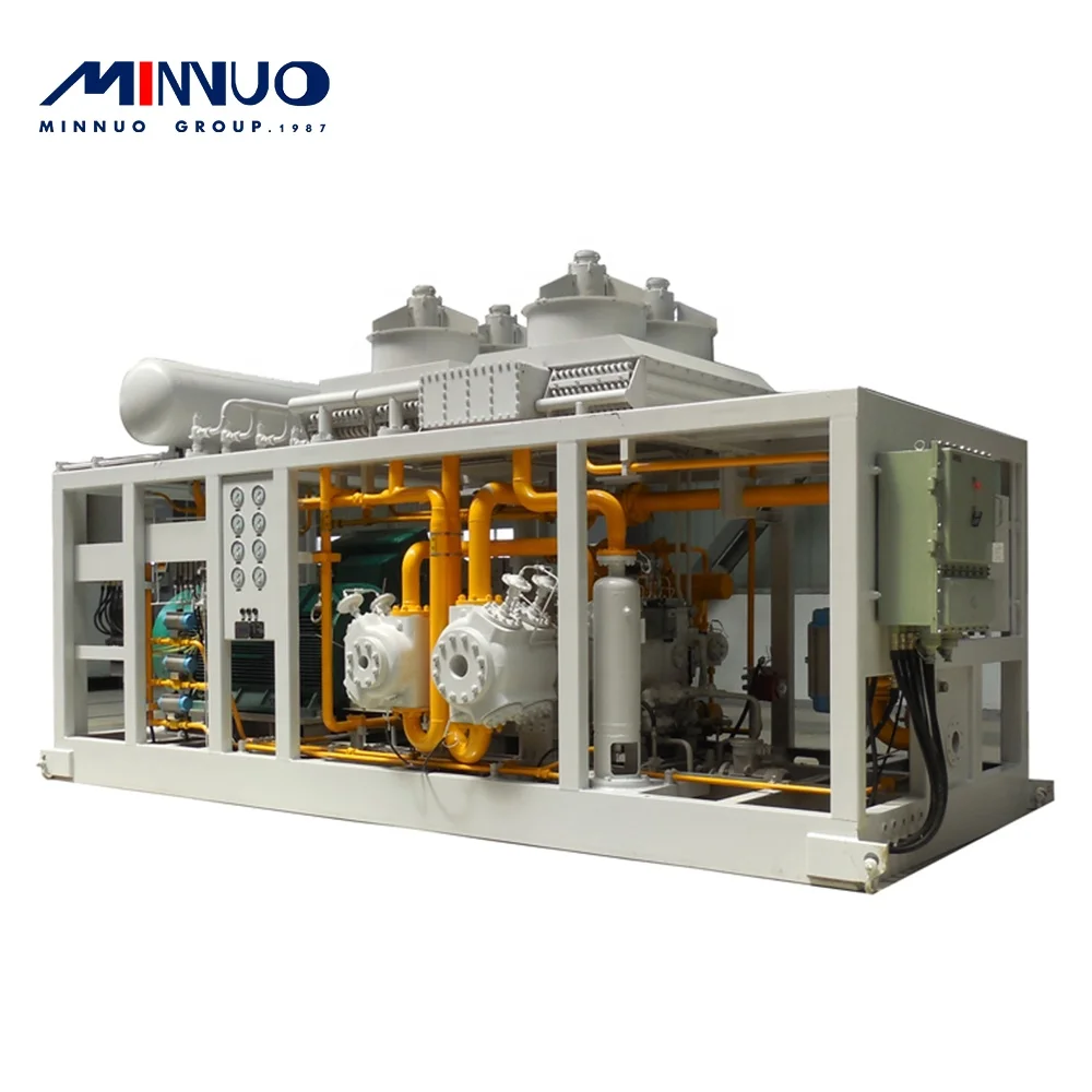 Skid mounted fully automated cng compressor CNG natural gas compressor for CNG mother station