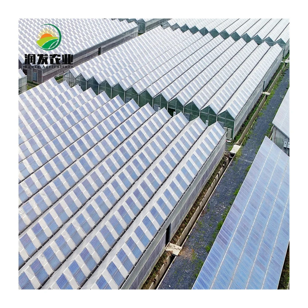 Solar Photovoltaic Panel Greenhouse Manufacturers Multi-Span Glass Agricultural Greenhouses With Hydroponics System Vertical