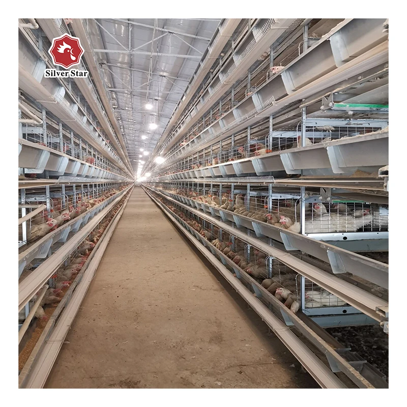 Машина для куриных ферм, холодная и горячая оцинкованная многослойная система, автоматизированная куриная клетка