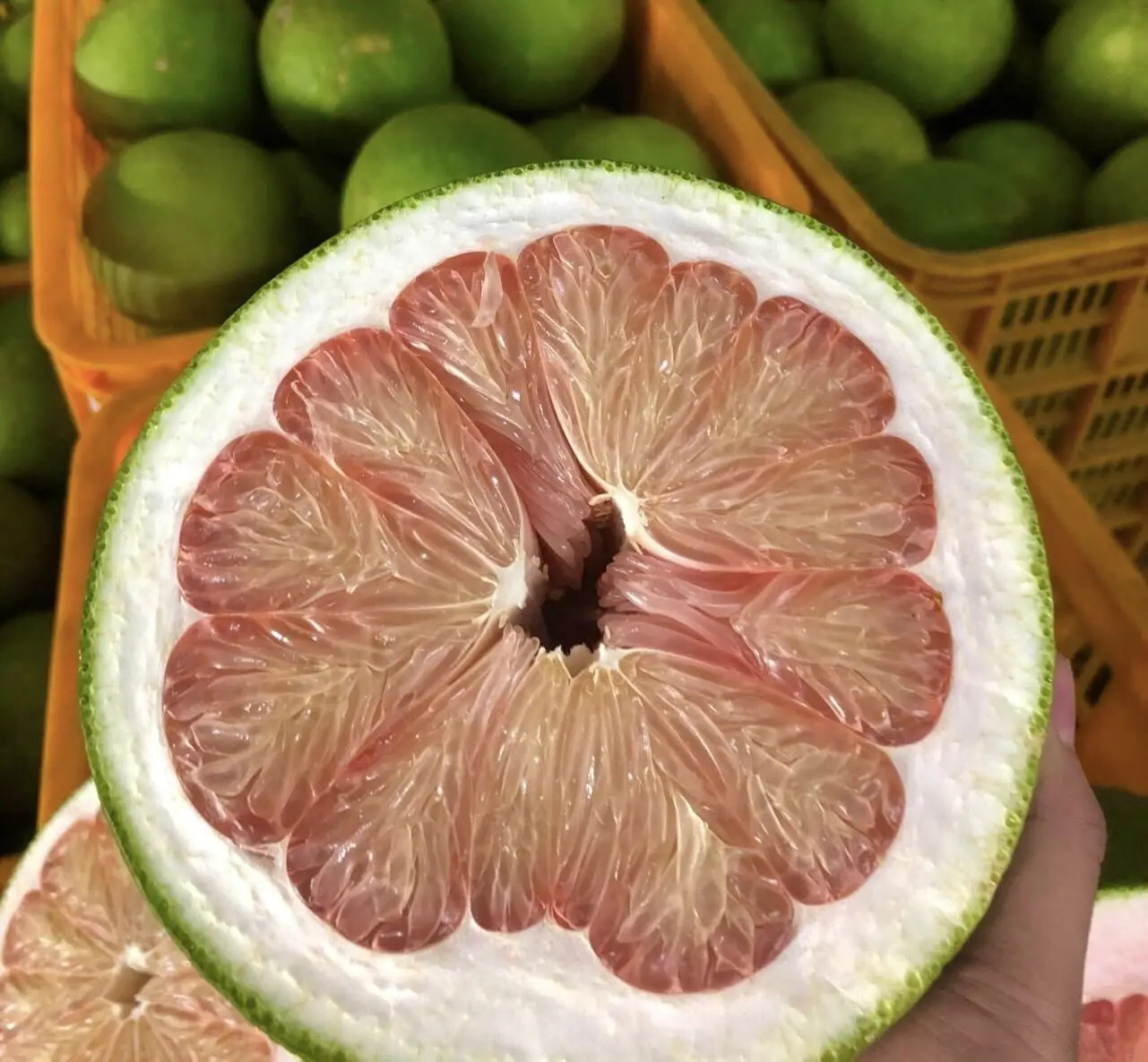 Professional Pomelo Fresh Green skin Pomelo/ Grapefruit from Vietmam To Canada, USA, New Zealand - What.sapp Linda 0084989322607