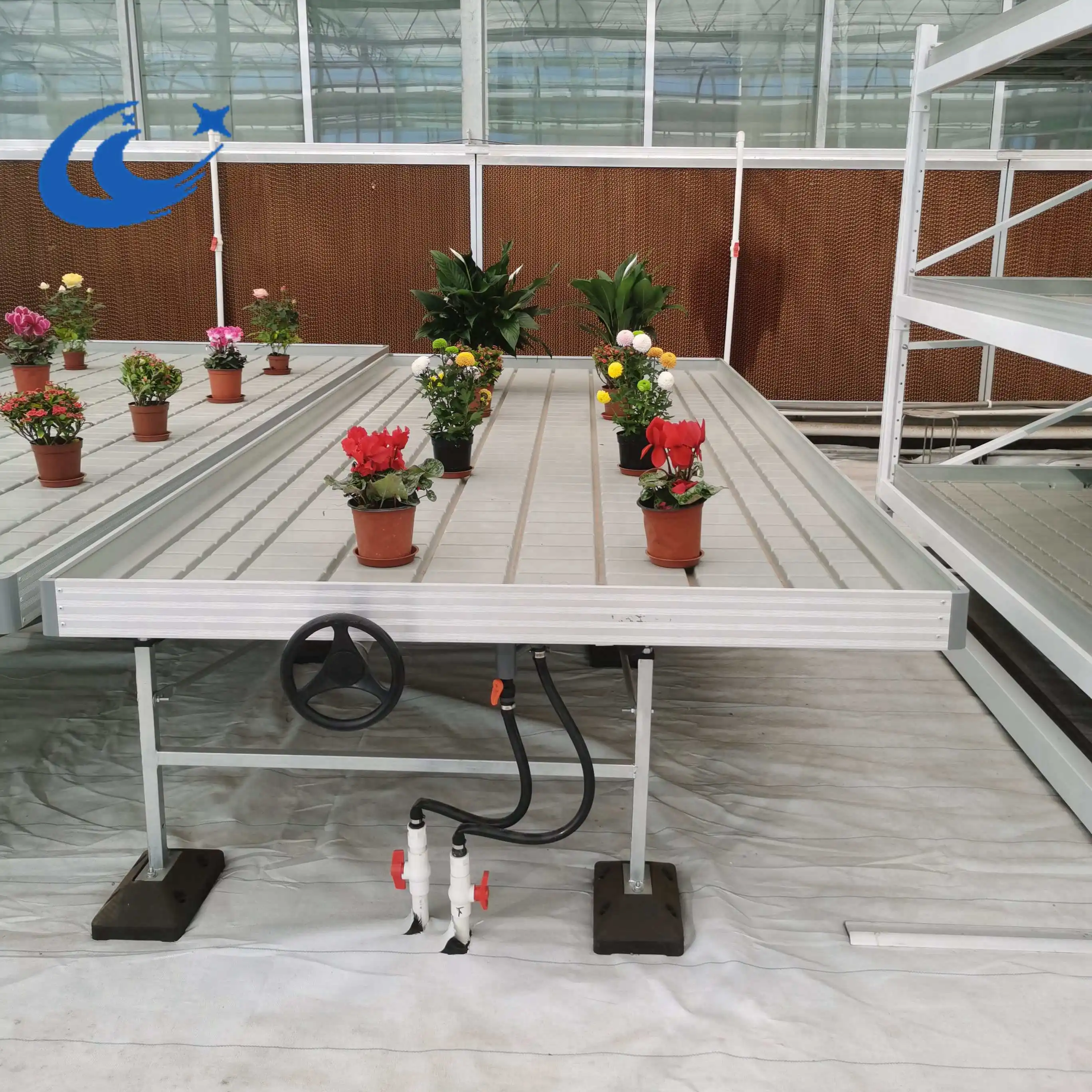 Тепличный стол ebb и поднос для гидропонных систем