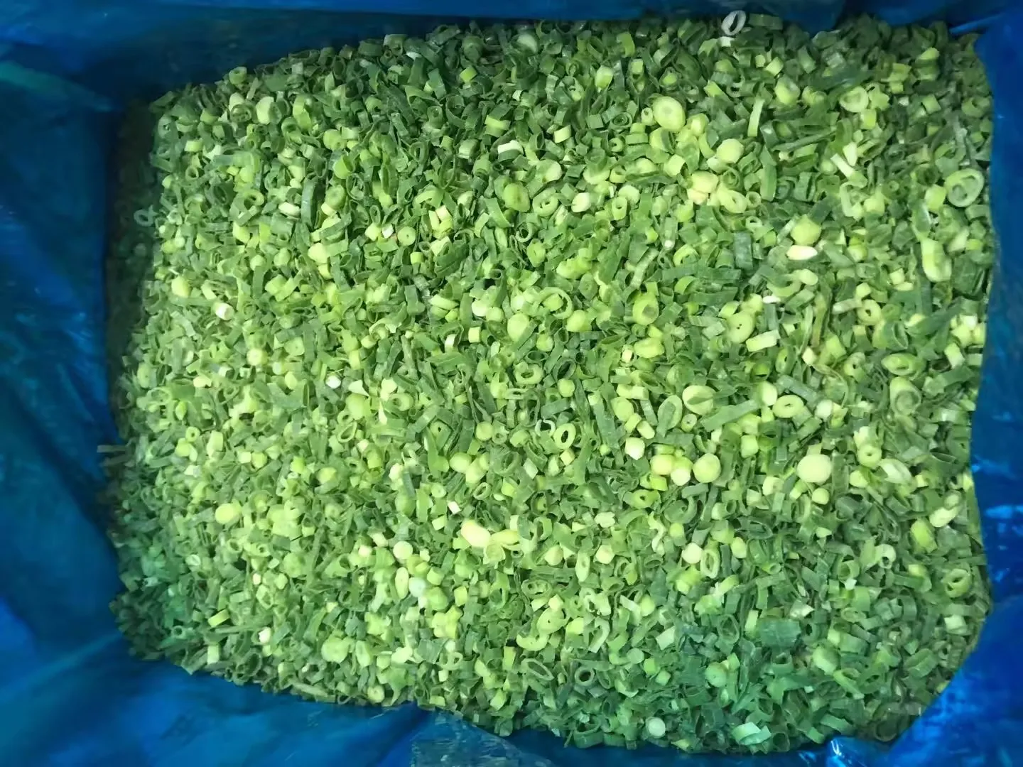 Whole Good Quality IQF Spring Onion Cuts/Sliced China Frozen Vegetable