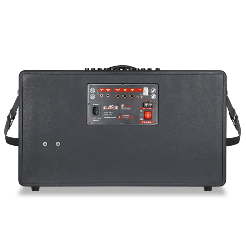 BM-777 Most Popular Dual 8 Inch Surround Sound Heavy Bass Wooden Portable Outdoor Wireless Speaker With MIC