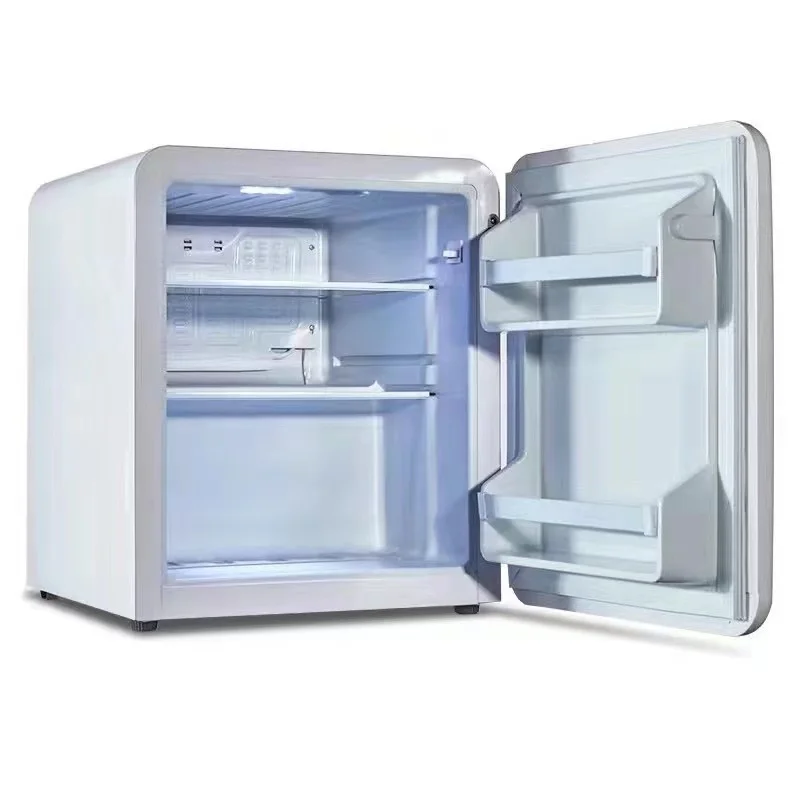 New Arrived 48L Makeup Fridge DC12V AC Small Refrigerator