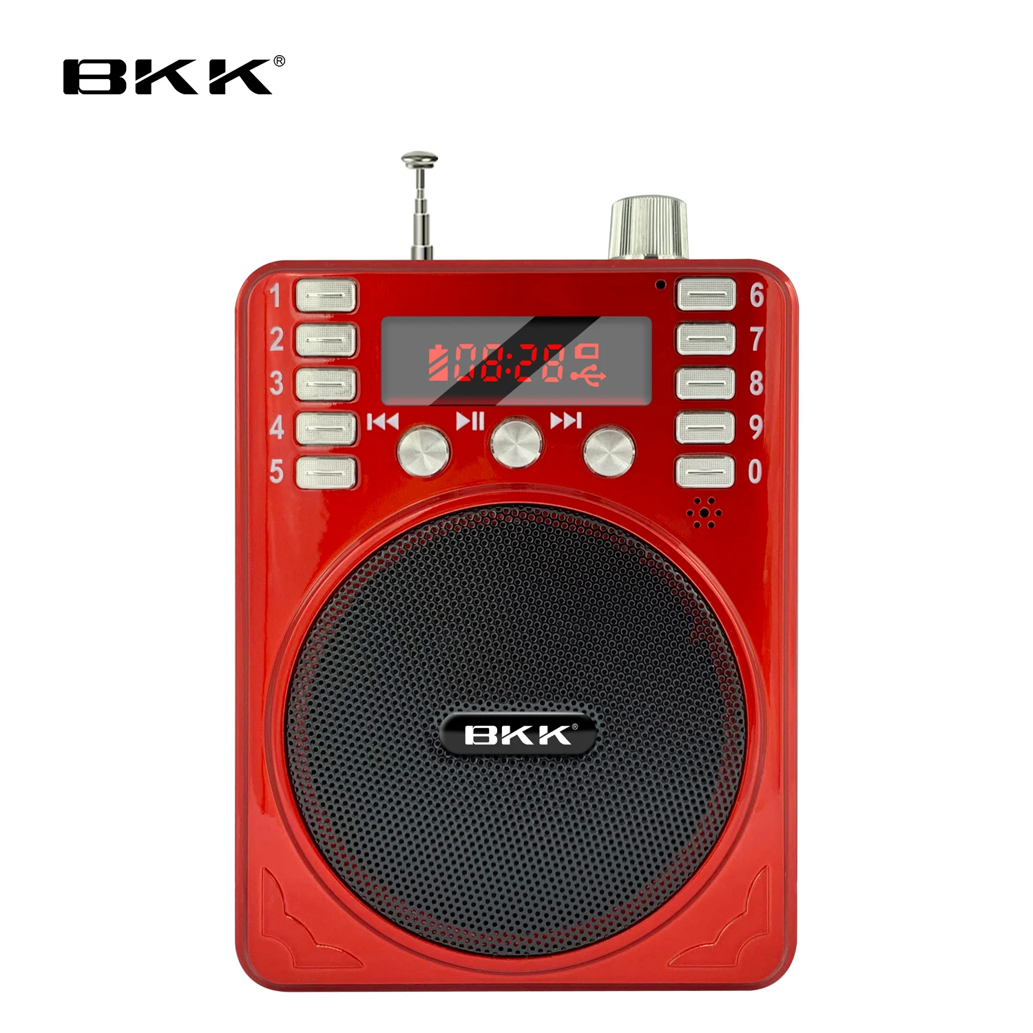 Good Quality Wireless Portable Voice Amplifier with U Disk(K276B)