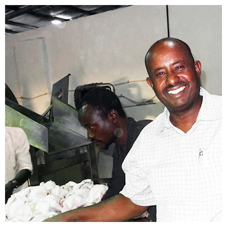 centrifugal poultry hair removal machine / plucking machine / bird/quail/chicken/duck/goose feather plucker