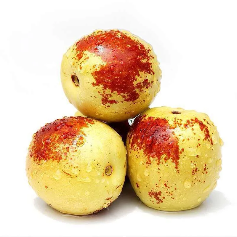 
Fresh China jujube fruits red jujube fresh dates fruit fruit for sale 