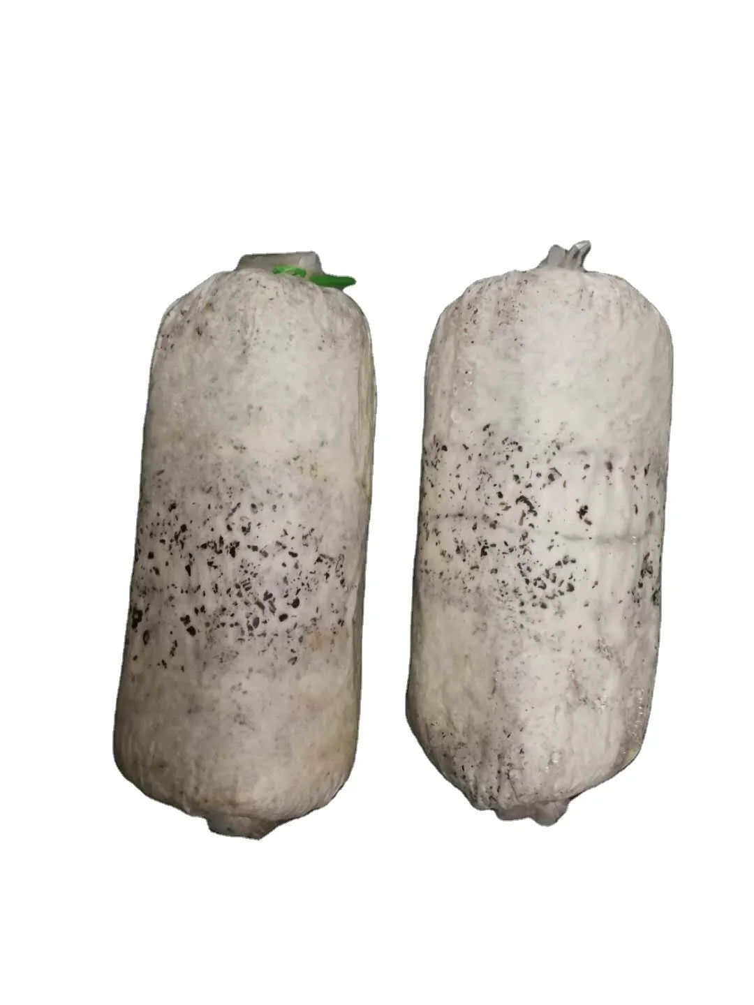 
Farm organic fruitwood grey oyster mushroom spawn logs seeds oyster mushroom sticks 