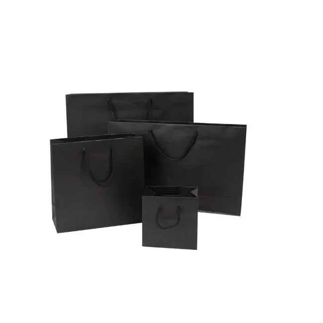 Wholesale Cheap Price Elegant Beautiful Shopping Gift Paper Packaging Bag with Free Samples