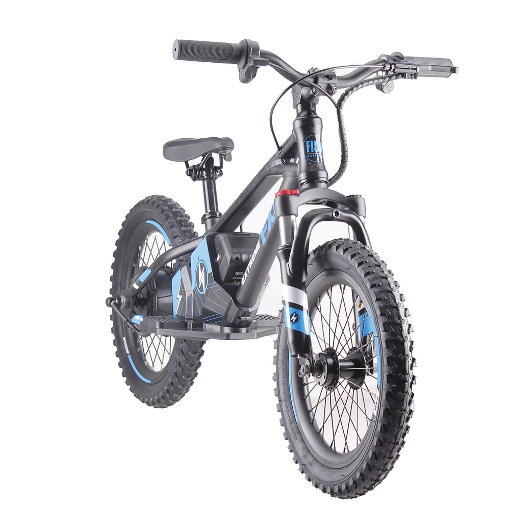 Best seller Electric Balance Motorcycles Off Road mini Bike for Kids Around the World