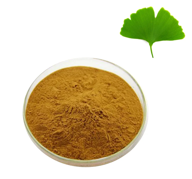 GMP factory supply organic  ginkgo biloba leaf extract flavone glycosides/biloba extract ginkgo