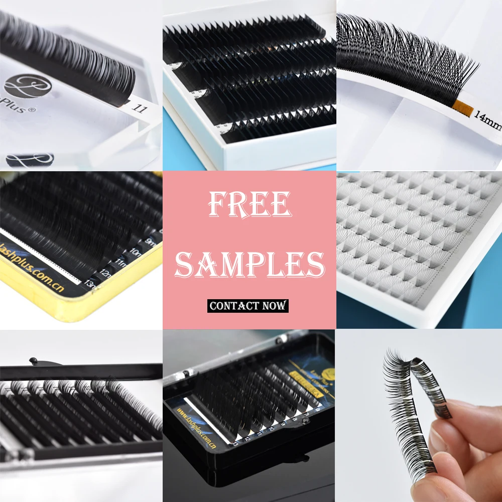 LashPlus  productos mas vendidos en usa cilios posticos natural camellia korea eyelash extension