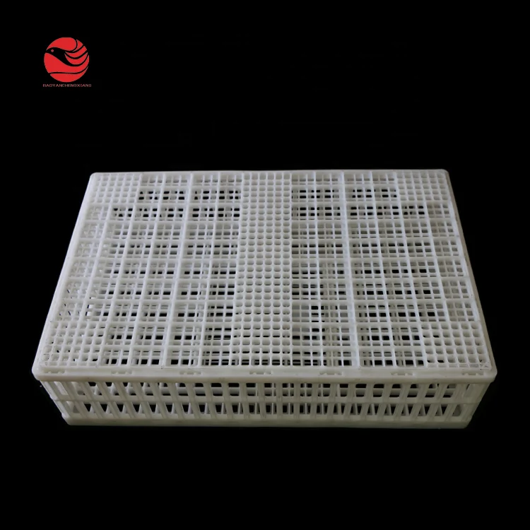 Live Poultry Meat Chicken Breeding Cage to Transport Chicken Crates for Sale Chicken Transportation Farms BY-001