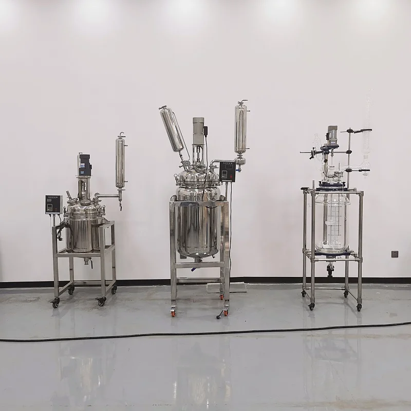 Enzyme Digestion Hydrolysis Reactor High Temperature Reactor Chemical Reactor Stainless Steel Reaction Equipment Reaction Kettle
