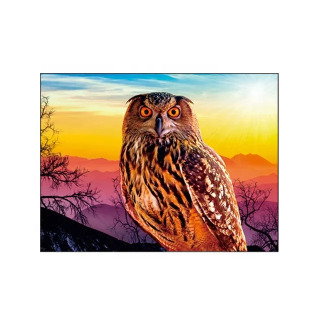 
In stock animal designs 3D lenticular picture 30x40cm for promotion gifts  (62404241102)