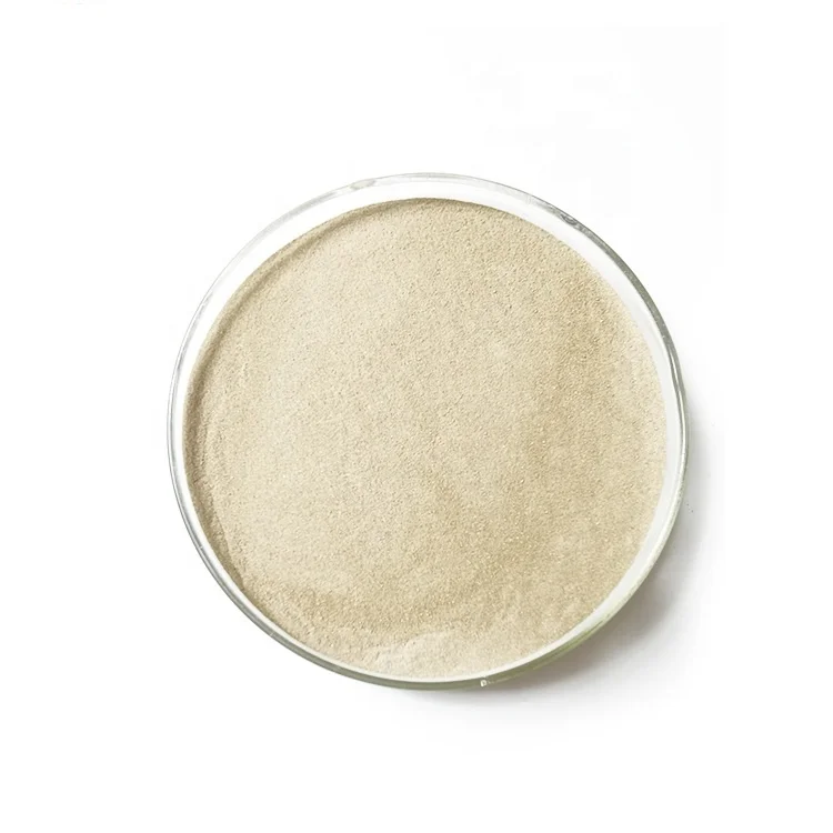 Best Probiotic Bacillus subtilis