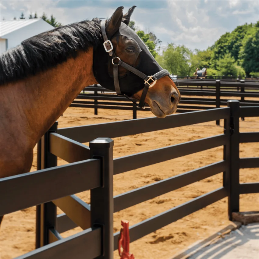 12ft  High Quality Black Galvanized Steel Corral Cattle Yard Panel With Professional Factory
