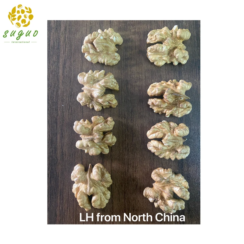 Walnut Low Price Wholesale North China Cheap Type in Walnuts