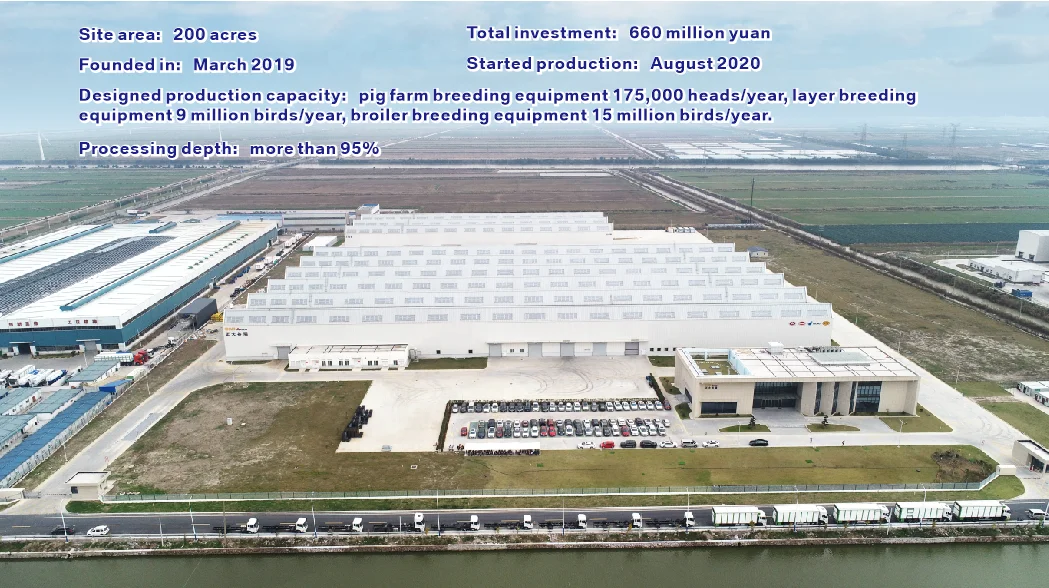 High Quality 12pcs Broilers Turnover Box Chicken Cage Transfer Box For Poultry Farm