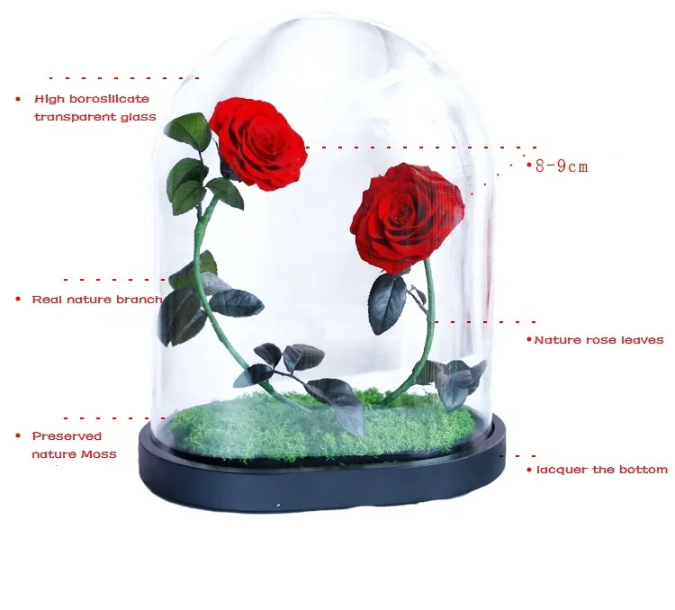 2020 Feiliya factory wholesale immortal eternal flower roses preserved glass dome