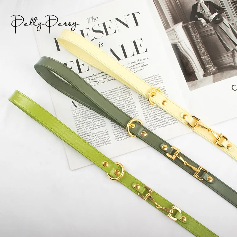 Fashion Luxury Products Durable Designer Chain Dog Collage Exlusiv Gold Dog Collar