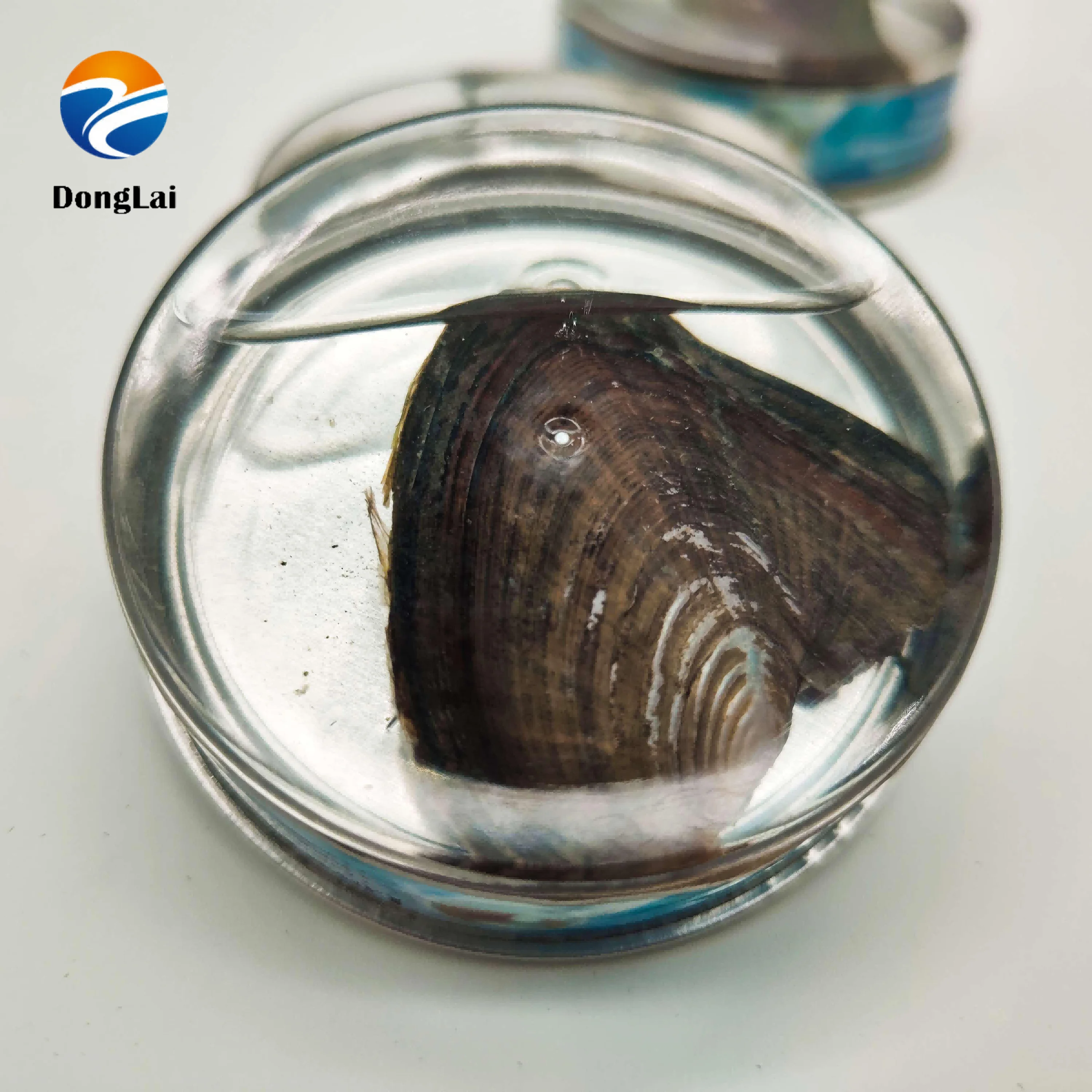 
AAAA 7-8 mm round Colorful Pearl Wholesale Vacuum-packed Mixed Colors canned Akoya Pearl Oysters for party bithrady 