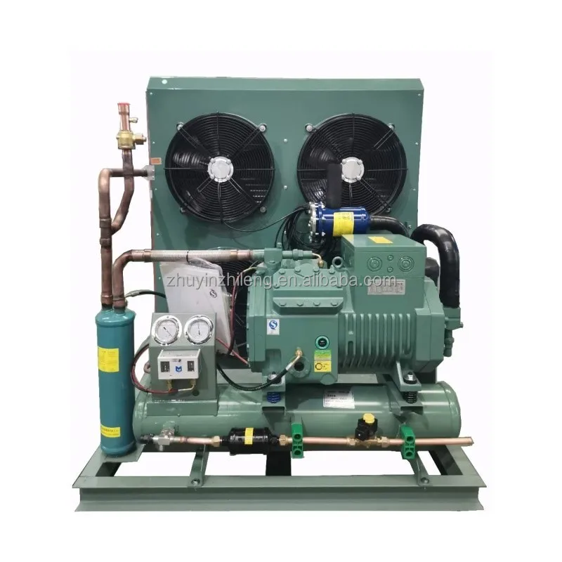 Customization walk in cooler condensing unit and evaporator