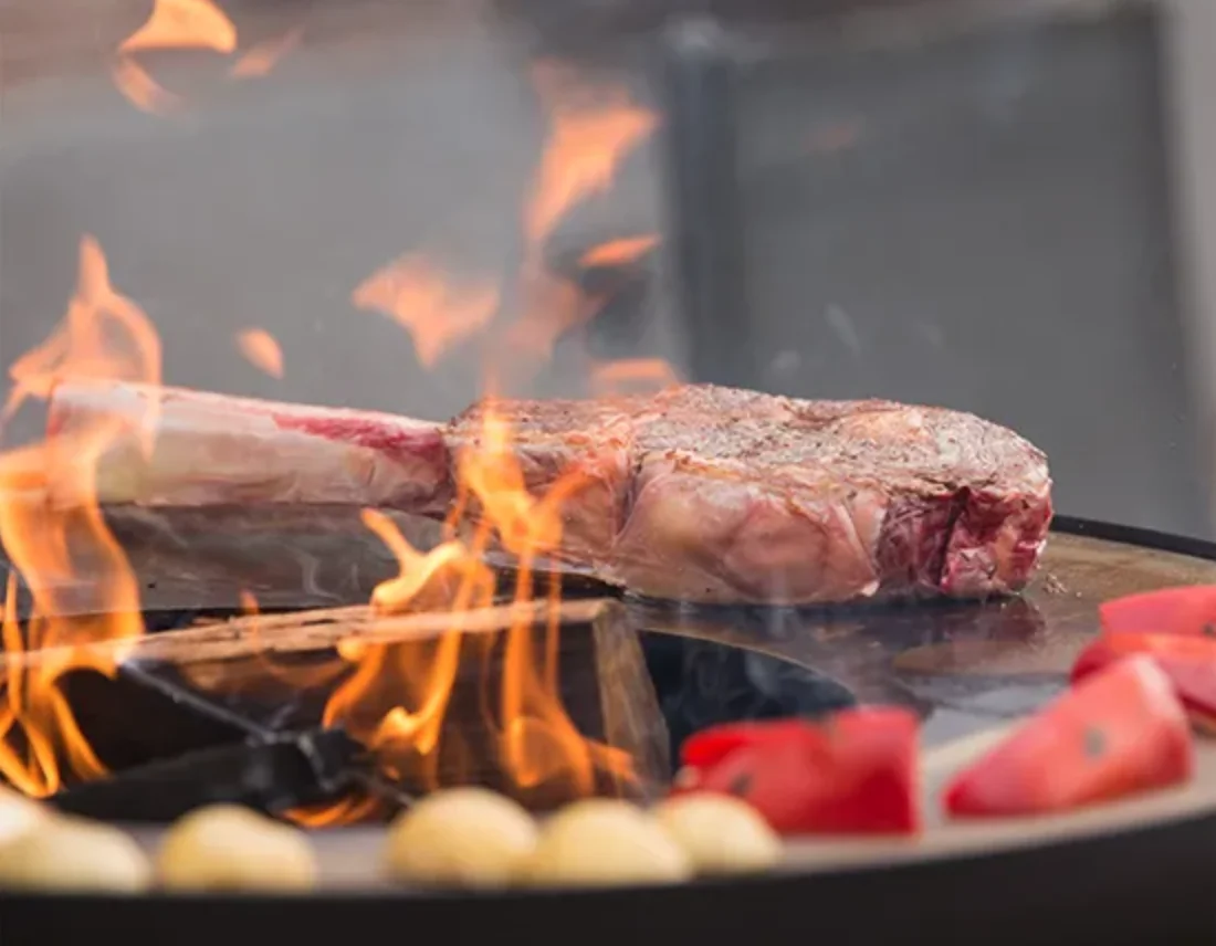 Customized outdoor Furniture garden fire pit metal fireplace meat grill