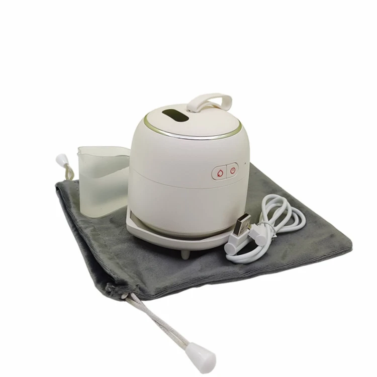 2021 New Arrival 2 in 1 Combo Mini Electric Iron Travel Steamer With USB Charging Power Bank Function