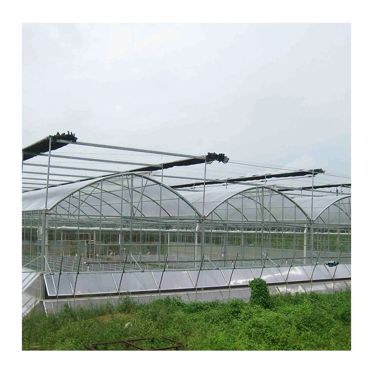 Factory direct supply environmental protect multi span agricultural strawberry greenhouses for picking farm