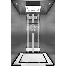 High Quality and Low Price Passenger Elevator