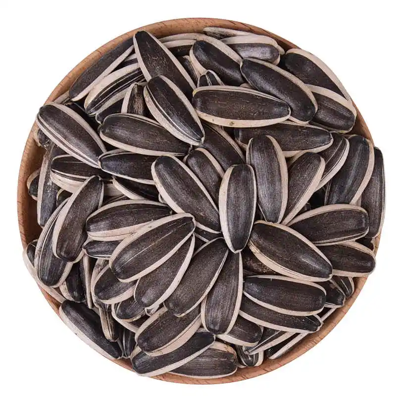2020 New Crop High Quality Cheap Oleic Jumbo Sunflower Seeds