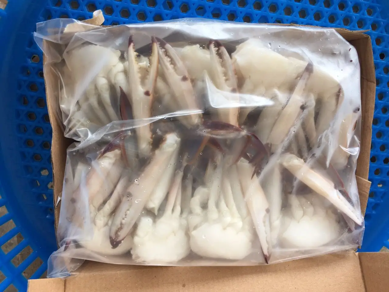 Good taste frozen blue swimming crab meat for EU market