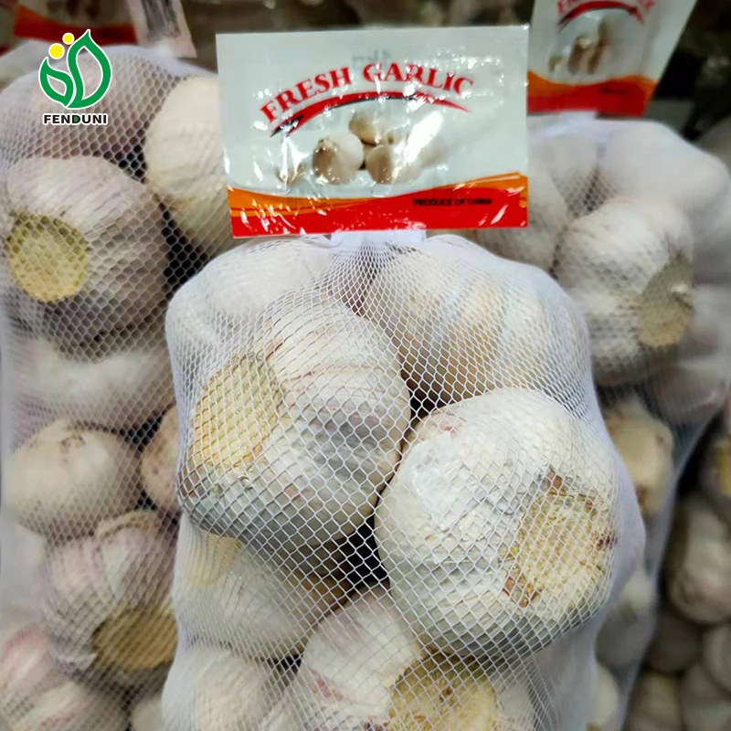 Chinese fresh garlic from Jin xiang county normal white and pure white garlic