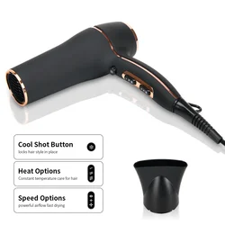 PRITECH New Professional Solar Blow Dryer Electric Ionic Hair Dryer With Ac Motor