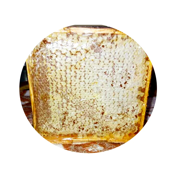 Bulk Supply 100% Natural Bee Propolis Extract Pure Raw Honey Bee Propolis Pollen Organic Bee Propolis