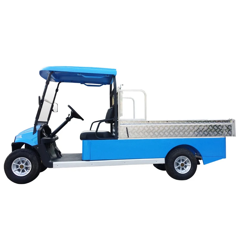 CE Approved Good Price 48V 2 Passenger Electric Cargo Buggy Golf Cart