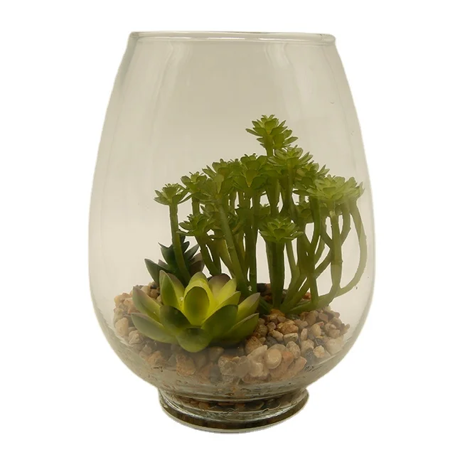 Artificial succulent plants in glass cup modern home decor Faux potted Greenery