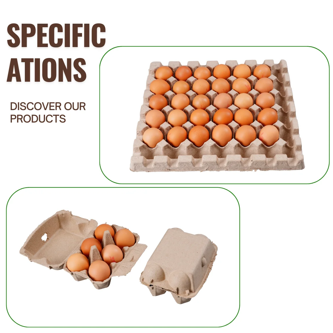 High Quality 12 Cells Egg Cartons Compostable Chicken Cardboard Holder Tray Degradable Pulp Egg Tray