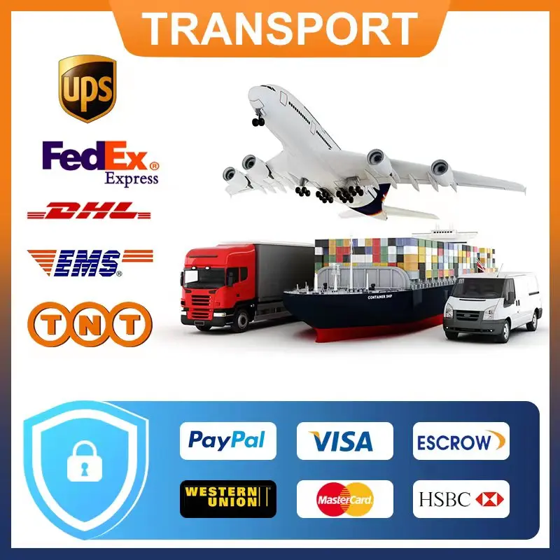 Dhl Fedex Courier Service Shanghai To Toronto Fba Forward Agent professional FBA freight freight forwarder UPS DHL