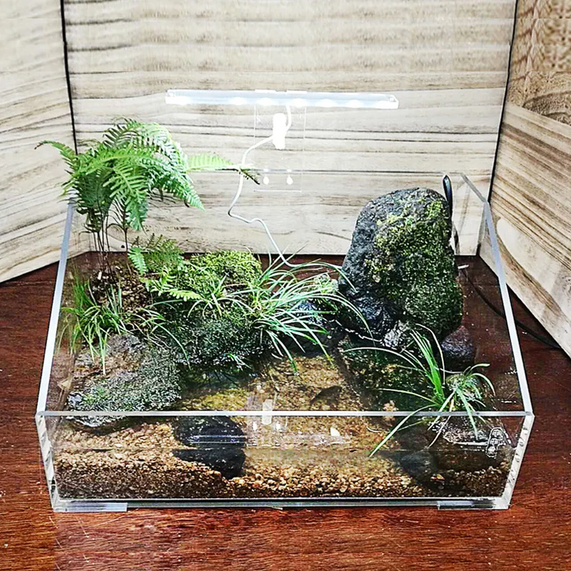 Ecological Landscaping Tank Transparent Acrylic Fish Tank Turtle Tank Small Aquarium Desktop Reptile Terrarium