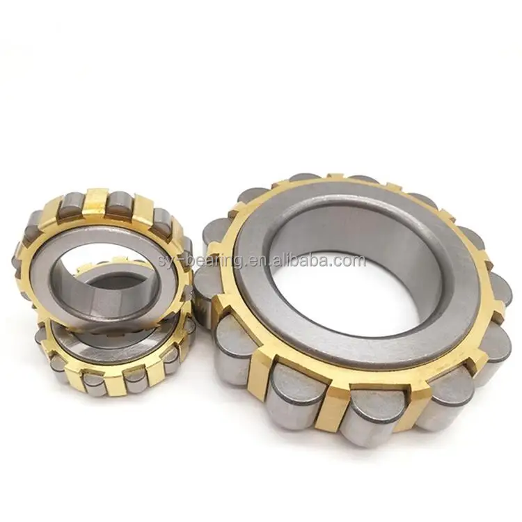 Eccentric Bearing (39)